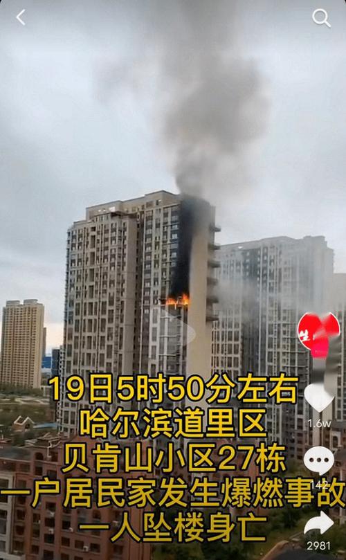 哈尔滨哪些多层小区比较好哈尔滨大火烧死20名老人哈尔滨火凤凰是怎么飞的 主板