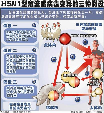 h5n1和h5n8禽流感有什么区别猪得了禽流感会有什么样的病症猪感染H5N1禽流感 联通