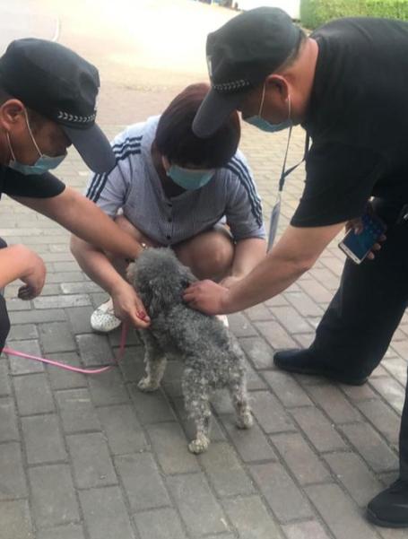 杭州女子为护子躲避未牵绳的狗被主人殴打致骨折，如果你在场看到这一幕，你会如何做狗撞老人 骨折遛狗老太被狗撞骨折 魅族