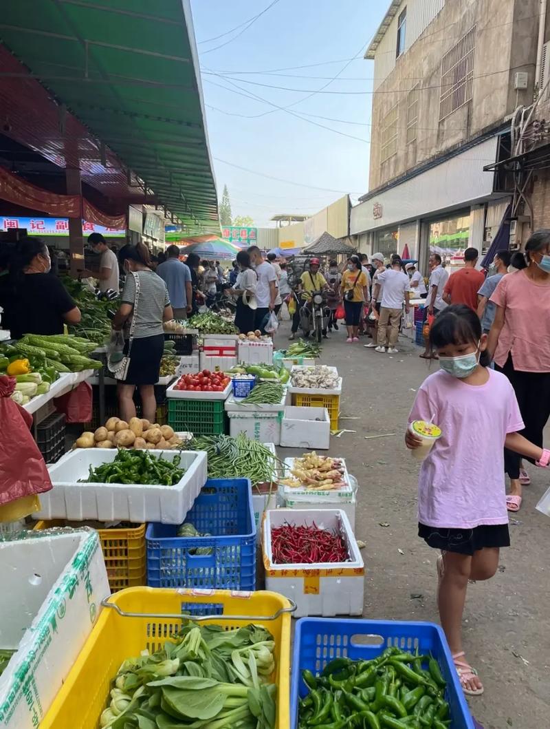 以后菜市场会消失吗菜贩失业菜市场重启失业人生 主板